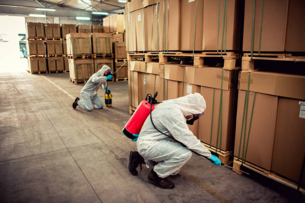 Best Best Pest Control Companies  in Lucerne Valley, CA