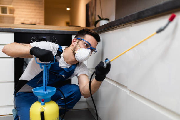 Best Exterminator Services  in Lucerne Valley, CA