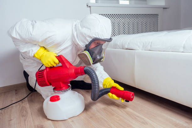 Best Pest Prevention Services  in Lucerne Valley, CA