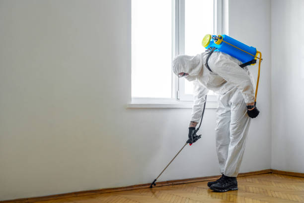 Reliable Lucerne Valley, CA Pest Control Solutions