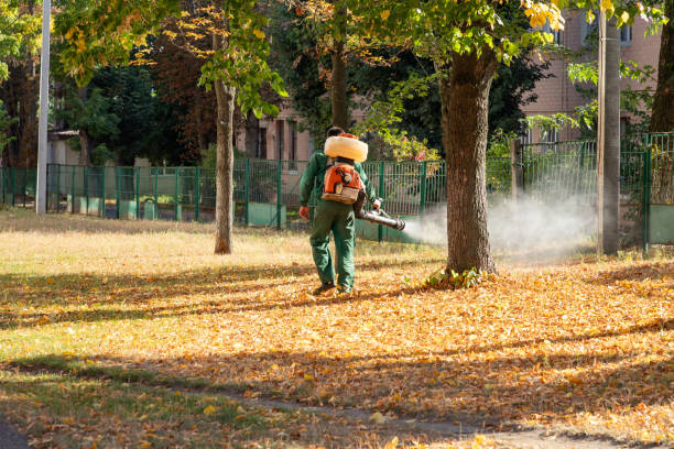 Best Pest Removal Services  in Lucerne Valley, CA